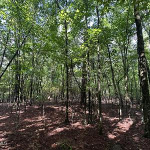 Photo #6 of B15 L26 Blair, McCormick, SC 0.6 acres