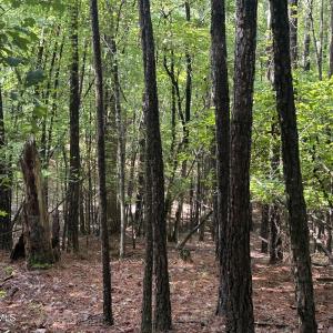 Photo #9 of B15 L26 Blair, McCormick, SC 0.6 acres