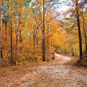 Photo #19 of B15 L26 Blair, McCormick, SC 0.6 acres