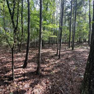 Photo #10 of B15 L26 Blair, McCormick, SC 0.6 acres