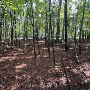 Photo #8 of B15 L26 Blair, McCormick, SC 0.6 acres