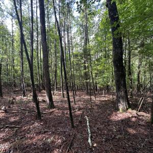 Photo #7 of B15 L26 Blair, McCormick, SC 0.6 acres