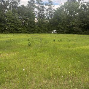 Photo #5 of 1416 Wheeler, Whiteville, NC 3.7 acres