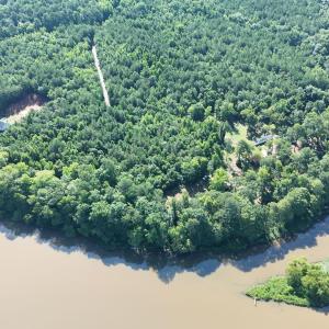 Photo #3 of 292 Salty Dog, North Augusta, SC 1.4 acres