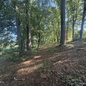 Photo #32 of 292 Salty Dog, North Augusta, SC 1.4 acres