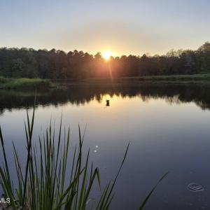Photo #43 of 292 Salty Dog, North Augusta, SC 1.4 acres