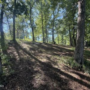 Photo #22 of 292 Salty Dog, North Augusta, SC 1.4 acres