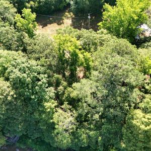 Photo #9 of 292 Salty Dog, North Augusta, SC 1.4 acres