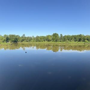 Photo #25 of 292 Salty Dog, North Augusta, SC 1.4 acres