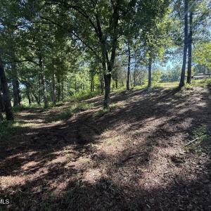 Photo #36 of 292 Salty Dog, North Augusta, SC 1.4 acres