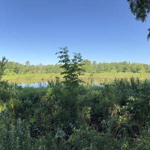 Photo #35 of 292 Salty Dog, North Augusta, SC 1.4 acres