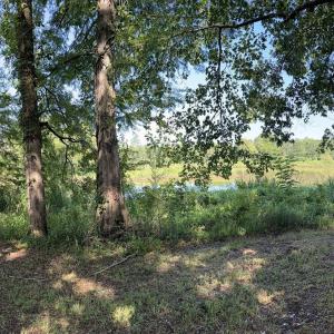 Photo #34 of 292 Salty Dog, North Augusta, SC 1.4 acres