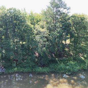 Photo #41 of 292 Salty Dog, North Augusta, SC 1.4 acres