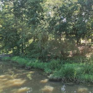 Photo #42 of 292 Salty Dog, North Augusta, SC 1.4 acres