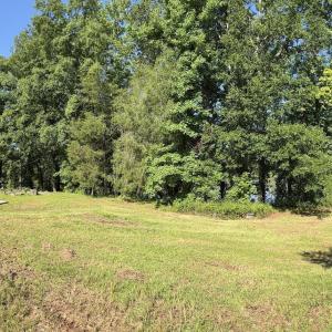 Photo #29 of 292 Salty Dog, North Augusta, SC 1.4 acres