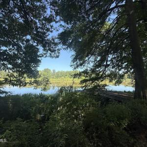 Photo #38 of 292 Salty Dog, North Augusta, SC 1.4 acres