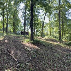 Photo #33 of 292 Salty Dog, North Augusta, SC 1.4 acres