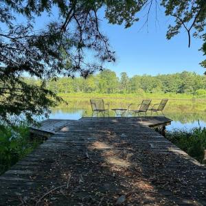 Photo #24 of 292 Salty Dog, North Augusta, SC 1.4 acres