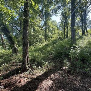 Photo #23 of 292 Salty Dog, North Augusta, SC 1.4 acres