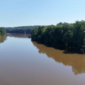 Photo #14 of 292 Salty Dog, North Augusta, SC 1.4 acres