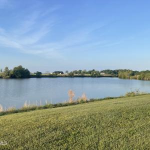 Photo #14 of Royal Tern, Hertford, NC 2.0 acres