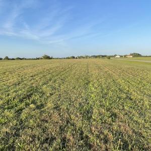 Photo #18 of Royal Tern, Hertford, NC 2.0 acres