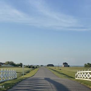 Photo #9 of Royal Tern, Hertford, NC 2.0 acres