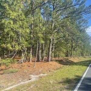 Photo #3 of 1035 Flowers, Jackson Springs, NC 10.3 acres