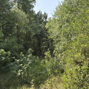 Photo #13 of 1721 Small Town, Pink Hill, NC 7.8 acres