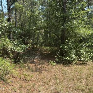 Photo #4 of 1721 Small Town, Pink Hill, NC 7.8 acres