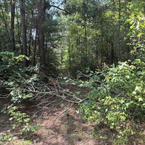 Photo #3 of 1721 Small Town, Pink Hill, NC 7.8 acres