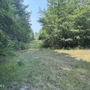 Photo #9 of 1721 Small Town, Pink Hill, NC 7.8 acres