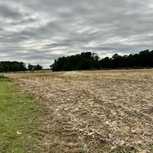 Photo #1 of 644 Cherry Town, Hallsboro, NC 37.0 acres