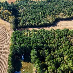 Photo #2 of 5107 Rainwater, Lucama, NC 1.4 acres