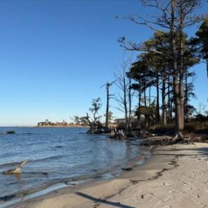 Photo #16 of 164 Chicora, Manteo, NC 0.5 acres