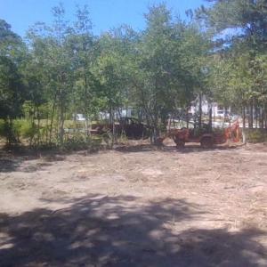 Photo #9 of 164 Chicora, Manteo, NC 0.5 acres