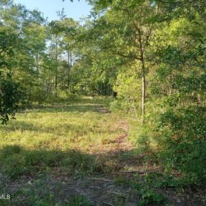 Photo #11 of 164 Chicora, Manteo, NC 0.5 acres