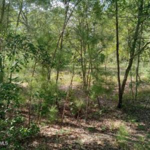 Photo #8 of 164 Chicora, Manteo, NC 0.5 acres
