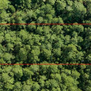 Photo #56 of 12 Green Acres, Hampstead, NC 1.0 acres