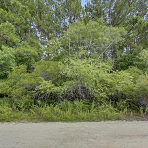 Photo #43 of 12 Green Acres, Hampstead, NC 1.0 acres