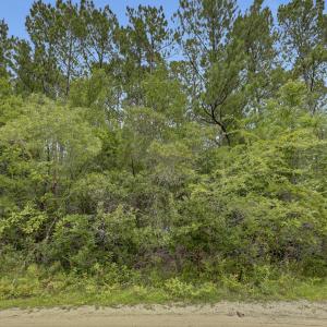 Photo #76 of 12 Green Acres, Hampstead, NC 1.0 acres