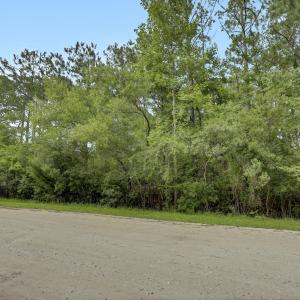 Photo #10 of 12 Green Acres, Hampstead, NC 1.0 acres