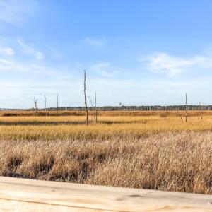 Photo #38 of 1717 Herons View, Wilmington, NC 0.6 acres