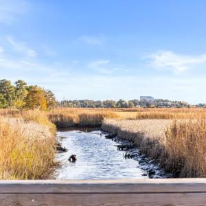 Photo #40 of 1717 Herons View, Wilmington, NC 0.6 acres