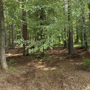 Photo #8 of Winfield, Pinetown, NC 0.9 acres