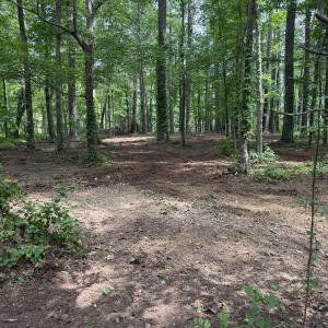 Photo #5 of Winfield, Pinetown, NC 0.9 acres