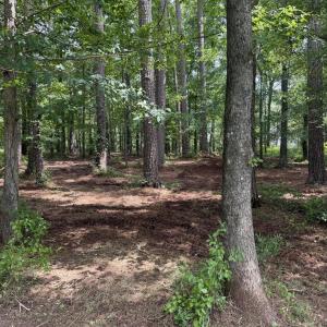 Photo #9 of Winfield, Pinetown, NC 0.9 acres