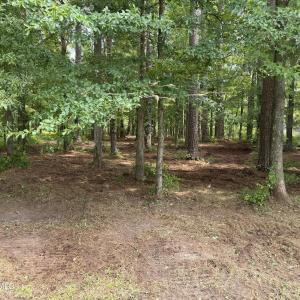 Photo #6 of Winfield, Pinetown, NC 0.9 acres
