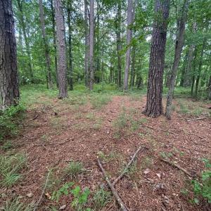Photo #3 of Winfield, Pinetown, NC 0.9 acres