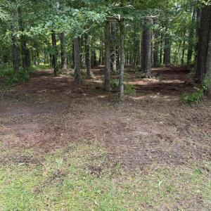 Photo #7 of Winfield, Pinetown, NC 0.9 acres